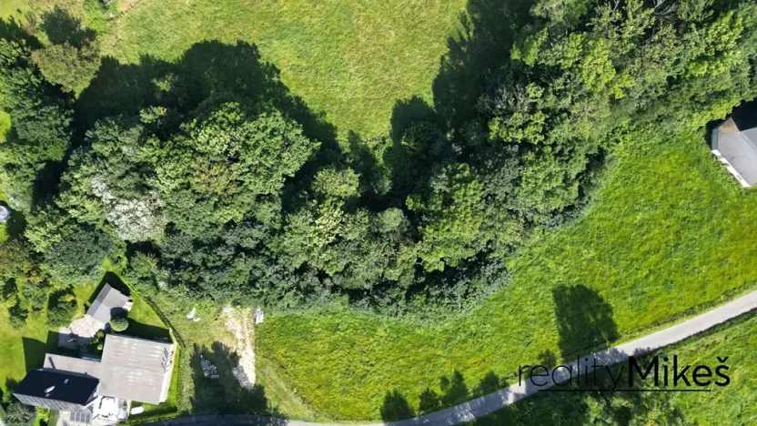 Prodej louky, Křižany, 2663 m2