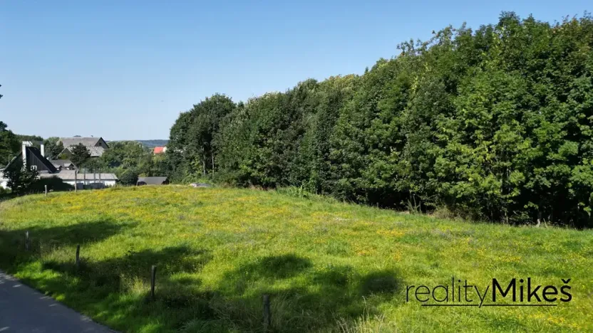 Prodej louky, Křižany, 2663 m2