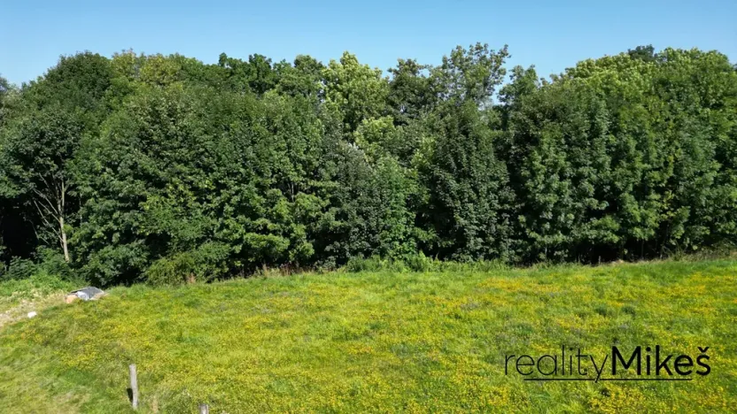 Prodej louky, Křižany, 2663 m2