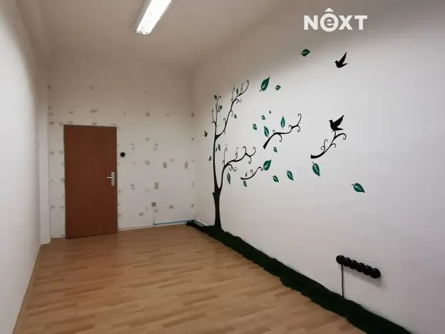 Pronájem kanceláře, České Budějovice, K. Světlé, 17 m2