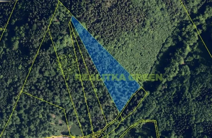 Prodej lesa, Nýdek, 16920 m2