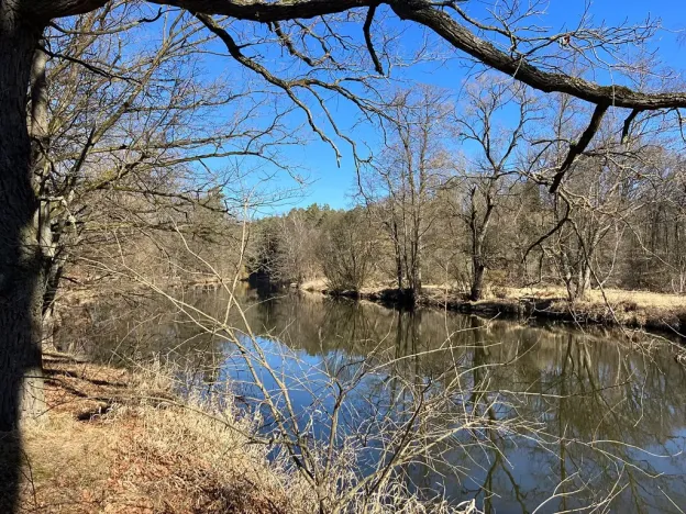 Prodej zemědělské usedlosti, Stráž nad Nežárkou, Šimanov, 2139 m2