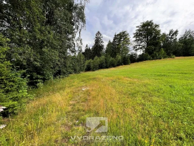 Prodej pole, Lučany nad Nisou, 618 m2