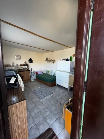 Prodej zahrady, Přerov, 233 m2