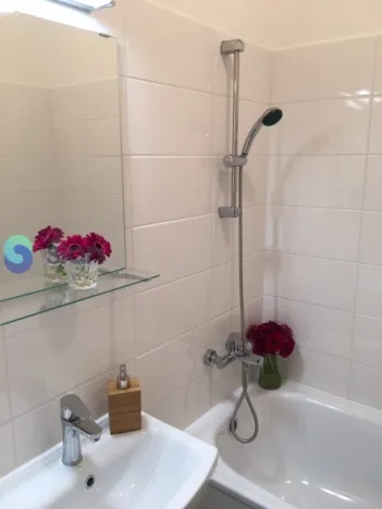 Pronájem bytu 2+1, Ostrava - Hrabůvka, Plzeňská, 53 m2