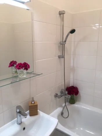 Pronájem bytu 2+1, Ostrava - Hrabůvka, Plzeňská, 53 m2