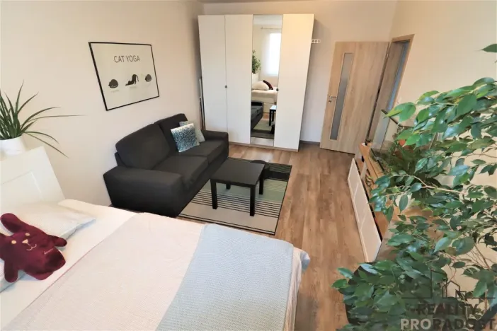 Pronájem bytu 1+1, Ostrava - Moravská Ostrava, Petra Křičky, 40 m2