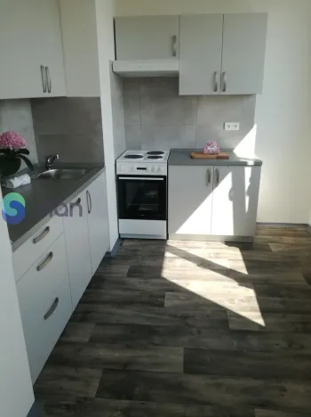 Pronájem bytu 1+1, Ostrava - Hrabůvka, Dr. Martínka, 36 m2