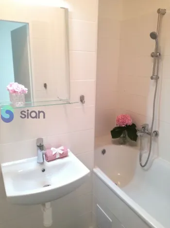 Pronájem bytu 1+1, Ostrava - Hrabůvka, Dr. Martínka, 36 m2