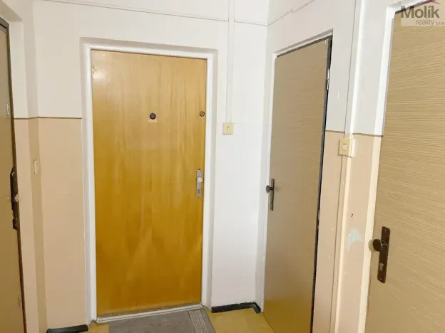 Prodej bytu 2+kk, Litvínov - Hamr, Přátelství, 40 m2