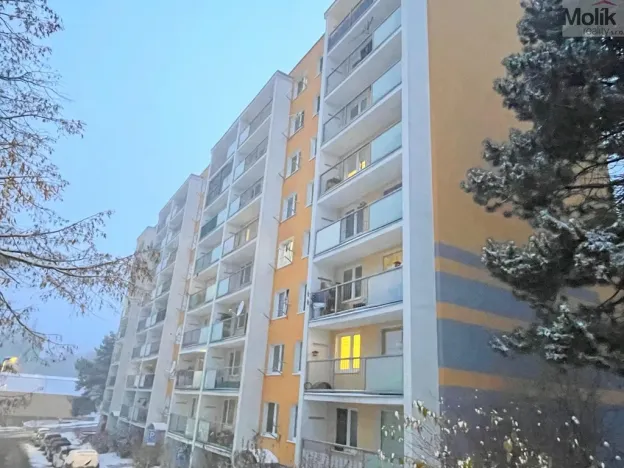 Prodej bytu 2+kk, Litvínov - Hamr, Přátelství, 40 m2