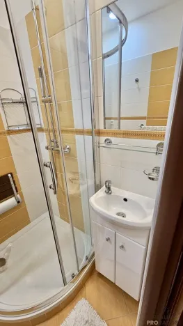 Pronájem bytu 2+1, Ostrava, Alberta Kučery, 60 m2