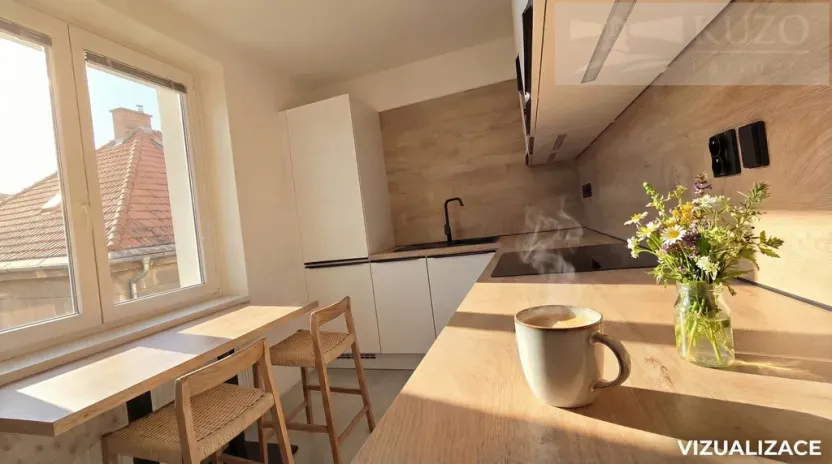 Prodej bytu 1+kk, České Budějovice, Rudolfovská tř., 48 m2