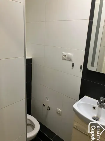 Pronájem bytu 1+kk, Ostrava - Hrabůvka, Krakovská, 22 m2