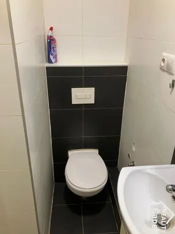 Pronájem bytu 1+kk, Ostrava - Hrabůvka, Krakovská, 22 m2