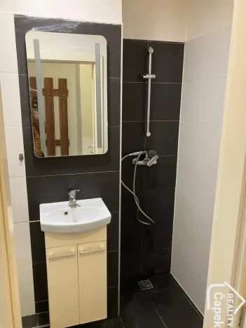 Pronájem bytu 1+kk, Ostrava - Hrabůvka, Krakovská, 22 m2