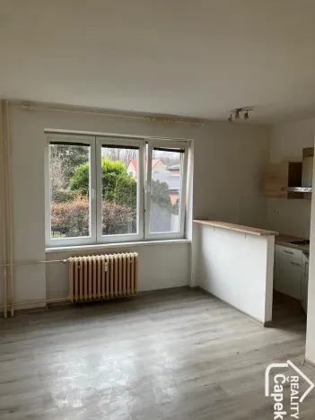 Pronájem bytu 1+kk, Ostrava - Hrabůvka, Krakovská, 22 m2