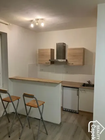 Pronájem bytu 1+kk, Ostrava - Hrabůvka, Krakovská, 22 m2