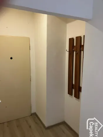 Pronájem bytu 1+kk, Ostrava - Hrabůvka, Krakovská, 22 m2