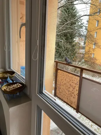 Prodej bytu 2+1, Mariánské Lázně, Franze Kafky, 54 m2