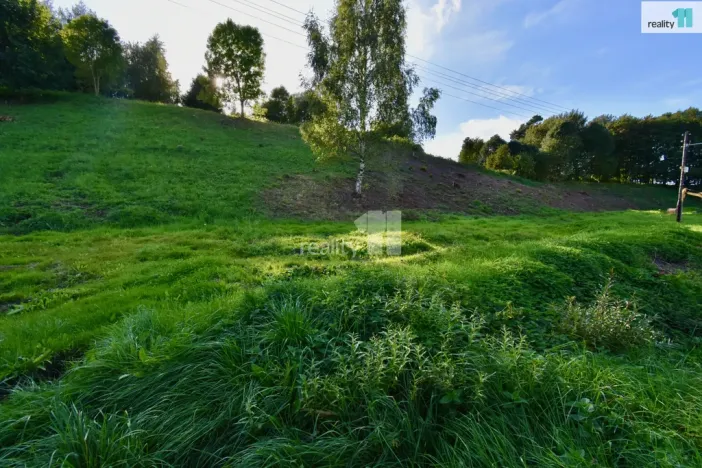 Prodej pozemku pro bydlení, Police nad Metují, U Lesovny, 6515 m2