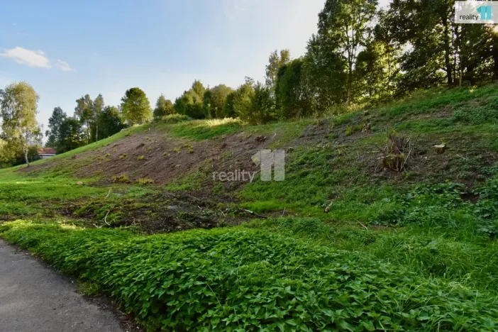 Prodej pozemku pro bydlení, Police nad Metují, U Lesovny, 6515 m2