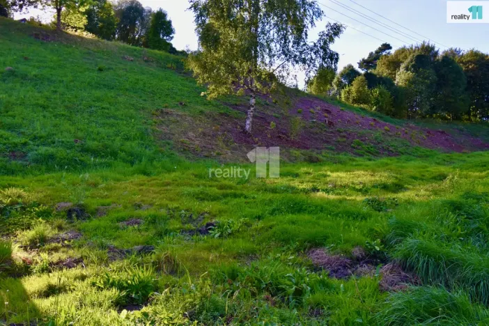 Prodej pozemku pro bydlení, Police nad Metují, U Lesovny, 6515 m2