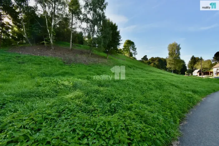 Prodej pozemku pro bydlení, Police nad Metují, U Lesovny, 6515 m2