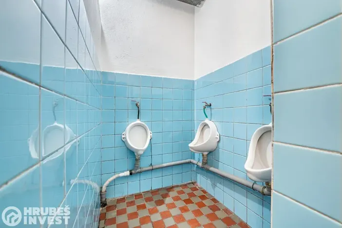 Prodej komerční nemovitosti, Česká Skalice, 392 m2