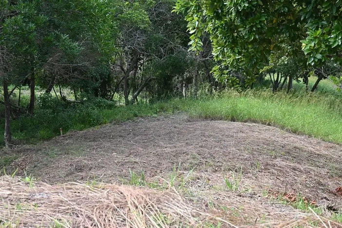 Prodej pozemku pro bydlení, José Santos Guardiola, Honduras, 620 m2