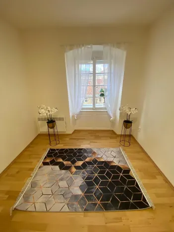 Prodej bytu 2+1, Praha - Staré Město, Náprstkova, 73 m2