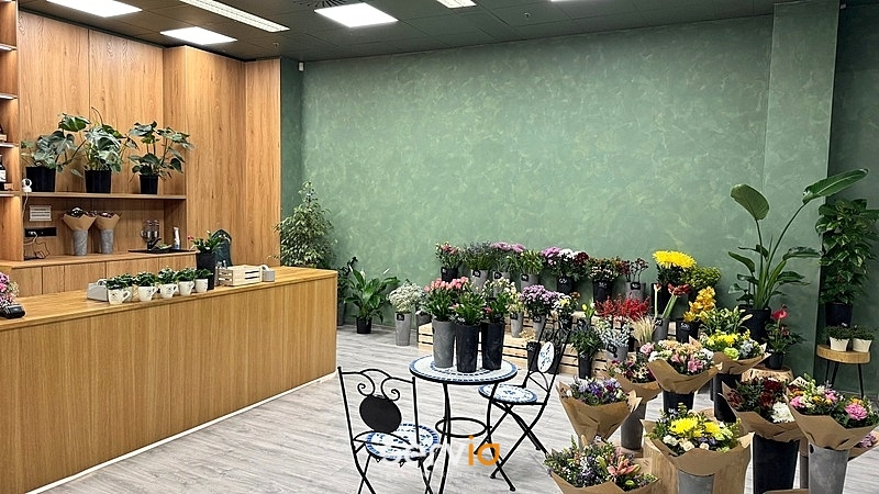 Pronájem obchodního prostoru, Brno, náměstí Svobody, 65 m2