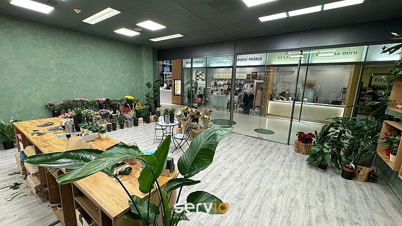 Pronájem obchodního prostoru, Brno, náměstí Svobody, 65 m2