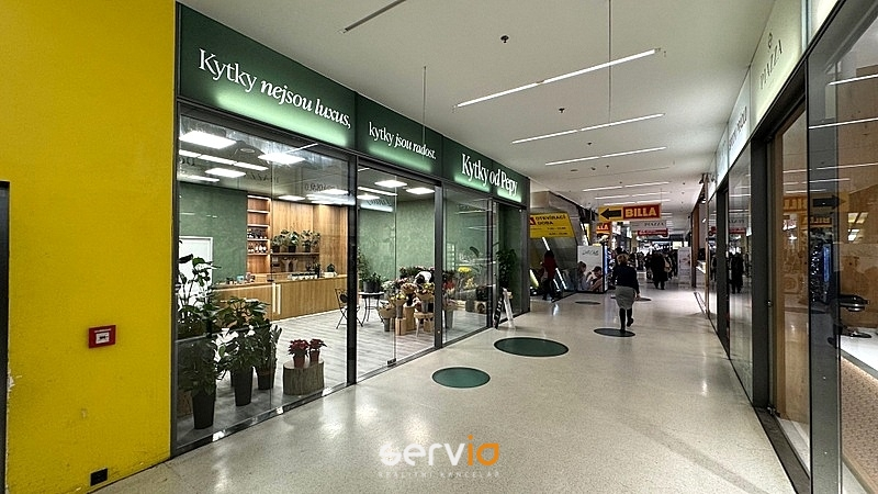 Pronájem obchodního prostoru, Brno, náměstí Svobody, 65 m2