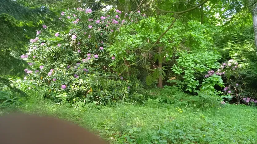 Prodej rodinného domu, Drslavice, 86 m2