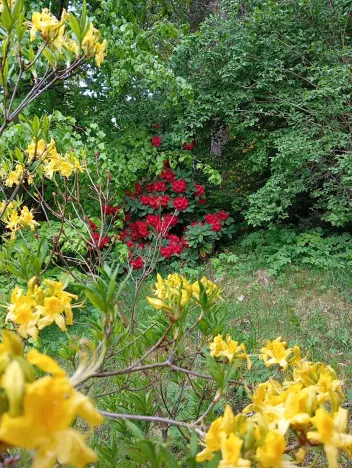 Prodej rodinného domu, Drslavice, 86 m2