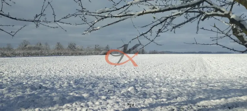 Prodej pozemku pro bydlení, Bělotín, 5104 m2