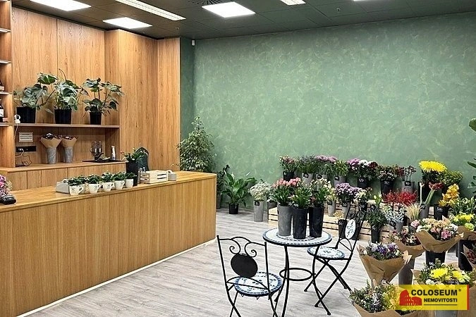 Pronájem obchodního prostoru, Brno - Brno-město, 64 m2