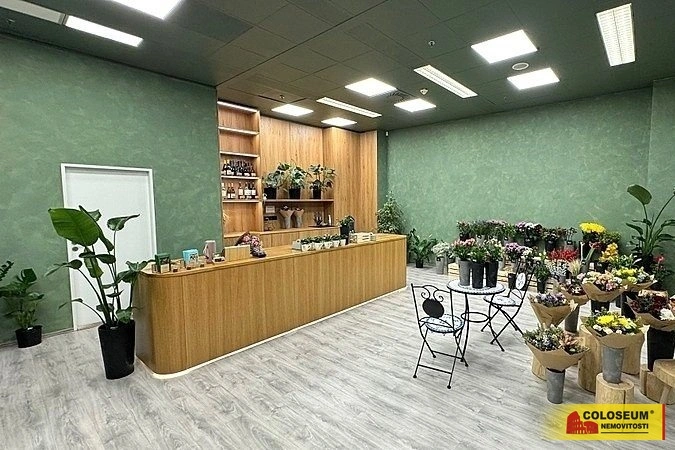 Pronájem obchodního prostoru, Brno - Brno-město, 64 m2