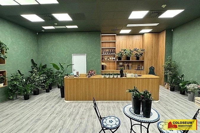 Pronájem obchodního prostoru, Brno - Brno-město, 64 m2