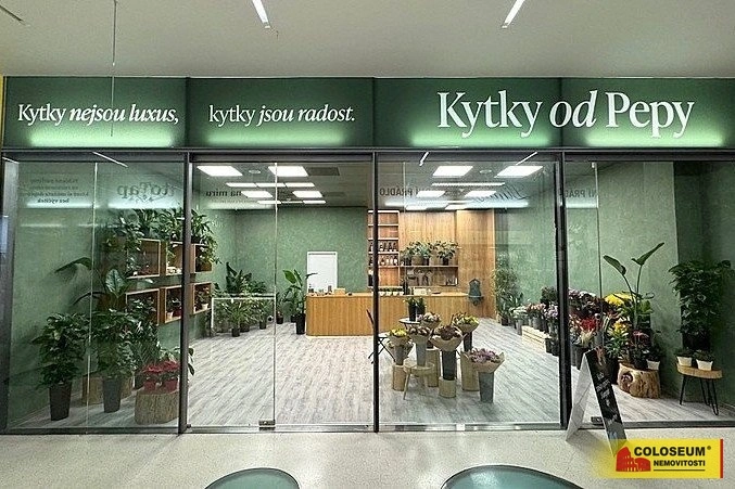 Pronájem obchodního prostoru, Brno - Brno-město, 64 m2