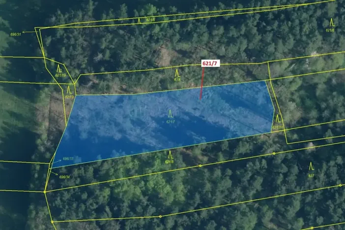 Dražba lesa, Trhové Sviny, 3603 m2