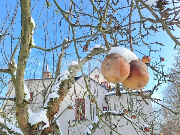 Prodej bytu 3+kk, Jablonec nad Nisou, Saskova, 97 m2