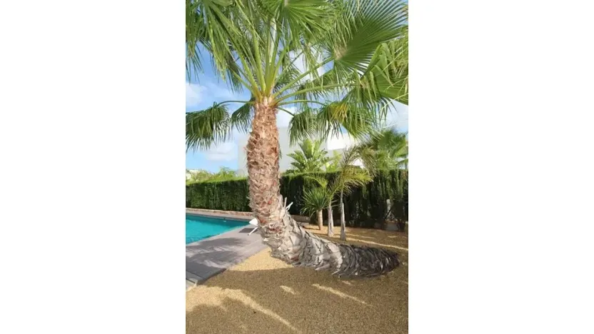 Prodej rodinného domu, Rojales, Španělsko, 160 m2