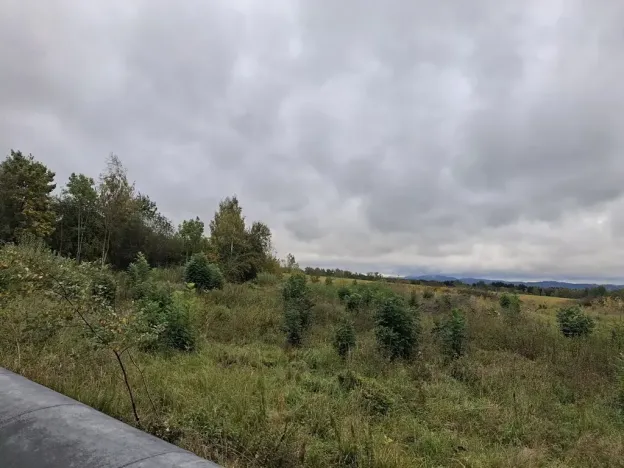 Prodej komerčního pozemku, Chodov, Nejdecká, 3546 m2