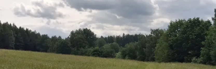 Prodej pozemku, Pomezí nad Ohří, 39941 m2