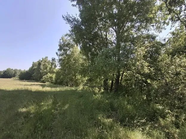 Prodej pozemku, Pomezí nad Ohří, 39941 m2