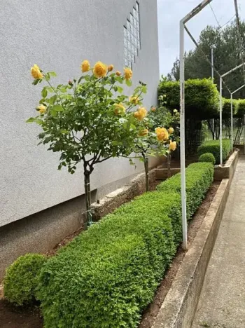 Prodej rodinného domu, Pula, Chorvatsko, 212 m2