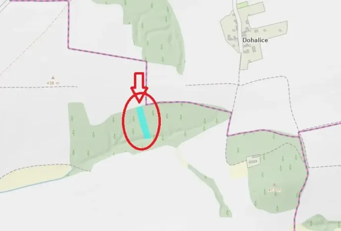 Prodej podílu lesa, Blížejov, 1818 m2