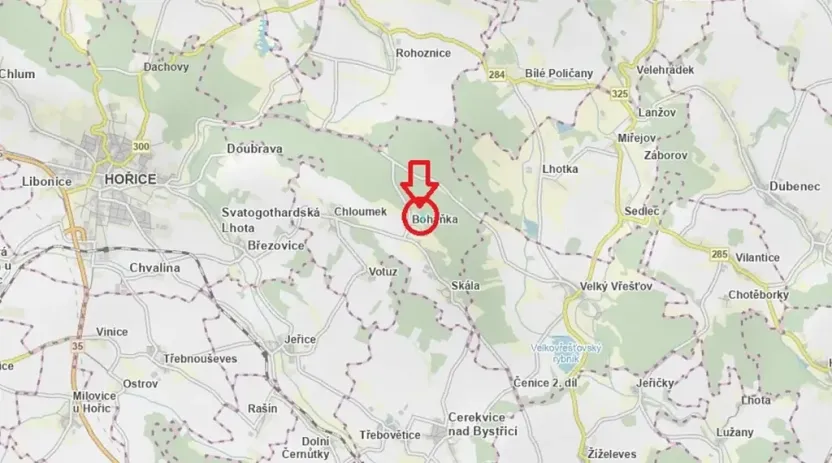 Prodej lesa, Boháňka, 3705 m2